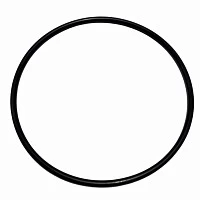 Уплотнительное кольцо сальник Schmitz Cargobull | ТопДизель