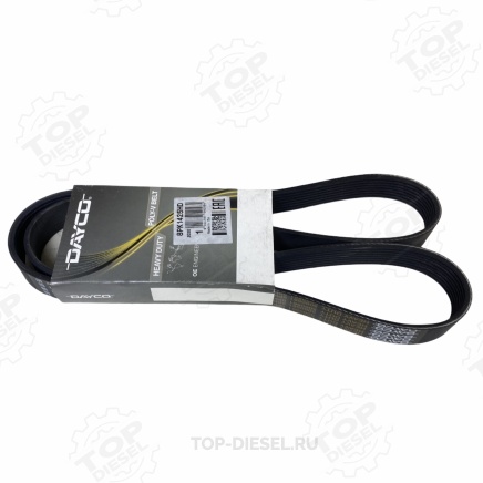 Приводной ремень мерседес актрос. Ремень dayco 9pk. 1045020. Ремень генератора мерседес аксор. Ремень поликлиновый dayco на мерседес актрос.