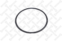 Сальник ступицы задний внешний 141x153x5.5 Volvo B12/FH/FM/Renault Midlum/Magnum/Premium Stellox | ТопДизель