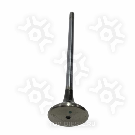 4101454IPD Клапан выпускной Cummins ISX/QSX, Freightliner IPD купить