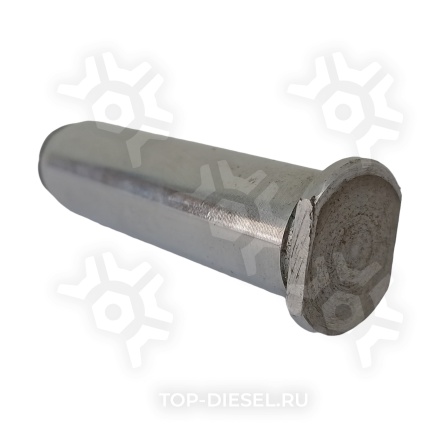 01609200A Палец колодки тормозной 20x76 MAN/Mercedes Benz Peters купить рис.3