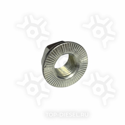 51533 Гайка карданного вала самостопорящаяся с юбкой M14x1.5 H=12 SW19 MAN Auger купить рис.2