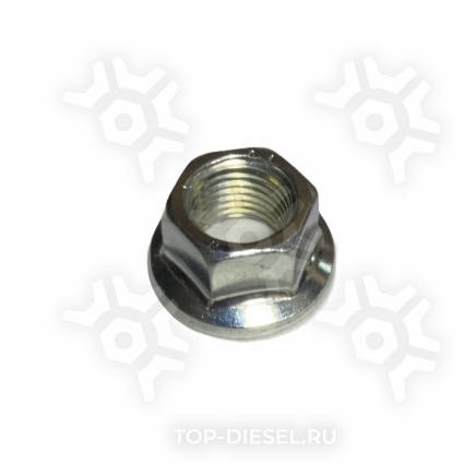 51533 Гайка карданного вала самостопорящаяся с юбкой M14x1.5 H=12 SW19 MAN Auger купить