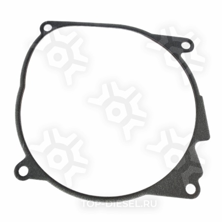 252113010003 Прокладка камеры сгорания отопителя D4/D4S 24V MAN/DAF/Volvo/Mercedes Benz/Scania Eberspaecher купить