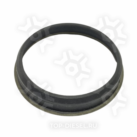 3684360 Шайба уплотнительная клапана EGR Cummins ISX Freightliner/International до 2007г Cummins купить