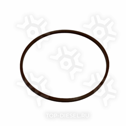 3678536IPD Кольцо уплотнительное стакана форсунки Cummins ISX/Freightliner/International IPD купить
