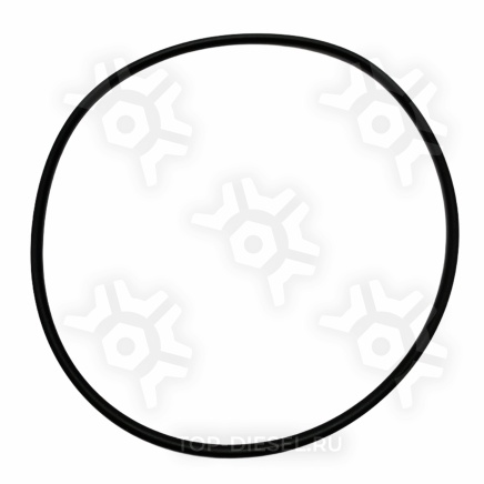 4299125IPD Уплотнительное кольцо клапанного распредвала переднее Cummins ISX/QSX15 Freightliner/International IPD купить