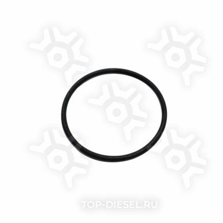 DSG3007759 Кольцо стакана форсунки Cummins N14/M11 DSG купить