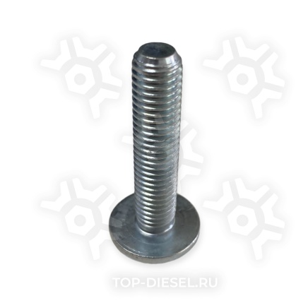60390 Болт кардана M10x1.5 L45 Renault, Mercedes-Benz Auger купить