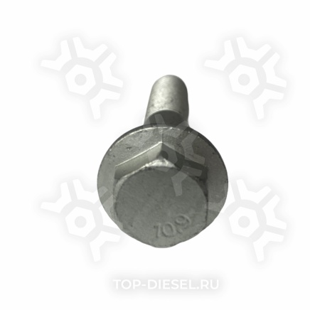 020152 Болт крепления рессоры передней М14х1.5х70 MAN TGA Sampa купить рис.2