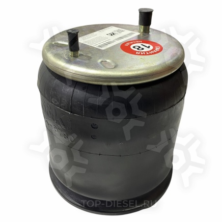 SK978001AL01 Пневмоподушка со стаканом H=22.5'' поршень пластик 1шт. комбинированный + 1 шп. Freightliner FTL S&K GMBH купить