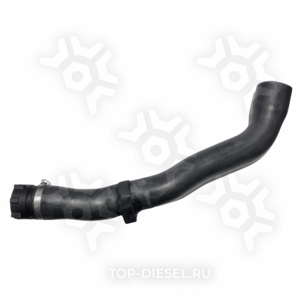 8111232SX Патрубок радиатора !верхний \DAF XF105 Stellox купить