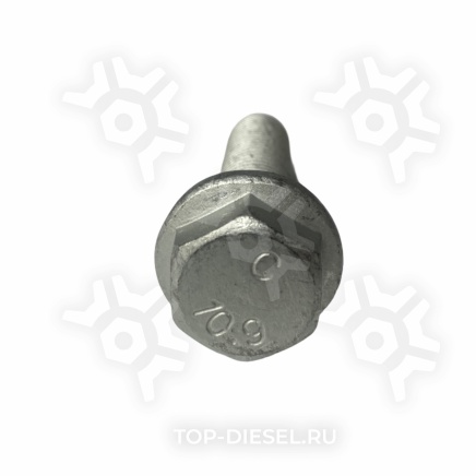 102598 Болт крепления пневмоподушки M16x2x65/80 BPW Sampa купить рис.2