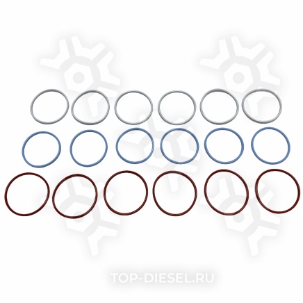 121190 Кольца уплотнительные форсунок Cummins M11/ISM/N14 комплект на двигатель PAI купить