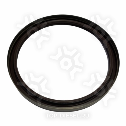 562920 Сальник коленвала задний с пружиной 120x140x13 MAN/Mercedes Benz Elring купить рис.2
