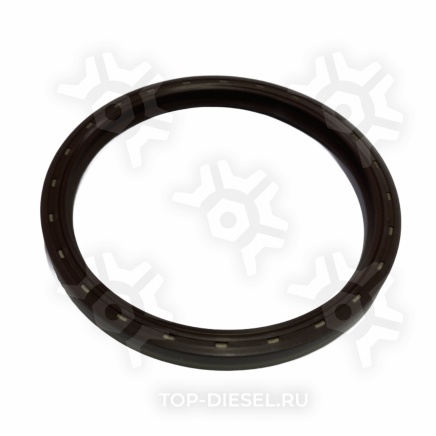 562920 Сальник коленвала задний с пружиной 120x140x13 MAN/Mercedes Benz Elring купить