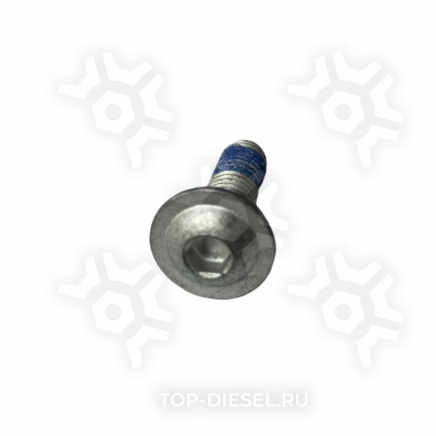 1018913 Болт сдвижной крыши к ролику M6x25 DIN 603 (1026011) Schmitz купить рис.2