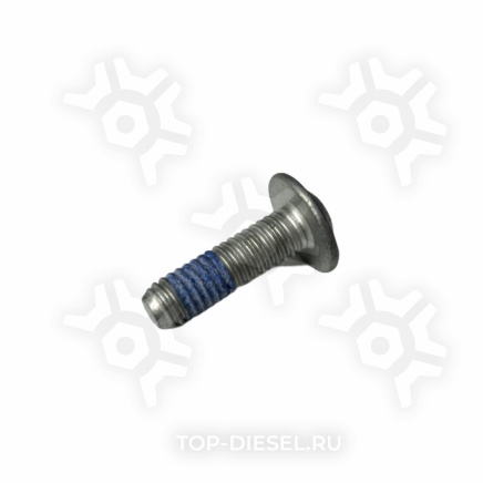 1018913 Болт сдвижной крыши к ролику M6x25 DIN 603 (1026011) Schmitz купить