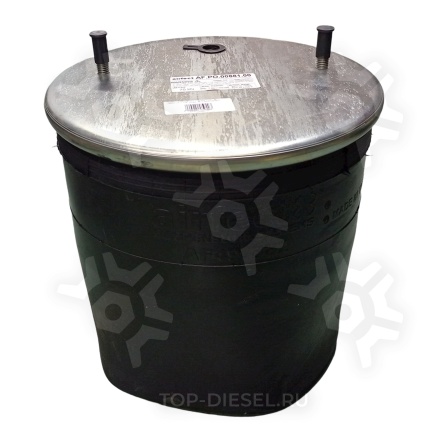 SK881P01 881 пневмоподушка !без стакана 2шп.M12смещ.25. 1отв.штуц.M22 \BPW S&K купить рис.2