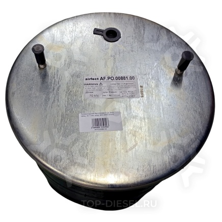 SK881P01 881 пневмоподушка !без стакана 2шп.M12смещ.25. 1отв.штуц.M22 \BPW S&K купить