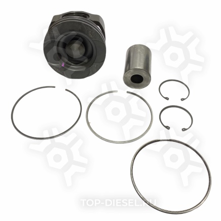 4089898 Ремкомплект поршня Cummins ISX/QSX15 EGR с 2004г., Freightliner/International Cummins купить рис.2