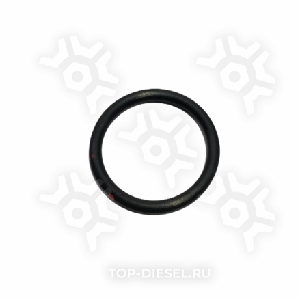 3201562 Уплотнительное кольцо Cummins 3201562 купить