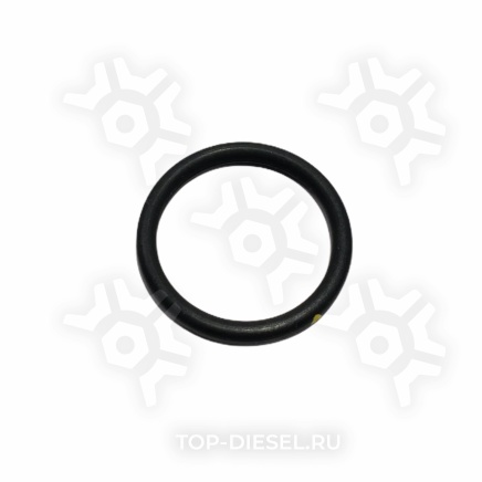 3021123 Кольцо уплотнительное сеточки топливного насоса Cummins ISX/N14/M11/11+ Cummins купить