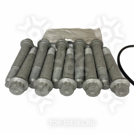 8546005SX Комплект болтов крепления тормозного диска 10 болтов M12x1.5x75 + кольцо уплотнительное+смазка Stellox купить рис.2