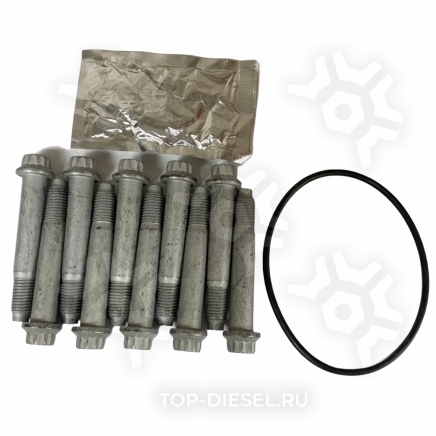 8546005SX Комплект болтов крепления тормозного диска 10 болтов M12x1.5x75 + кольцо уплотнительное+смазка Stellox купить