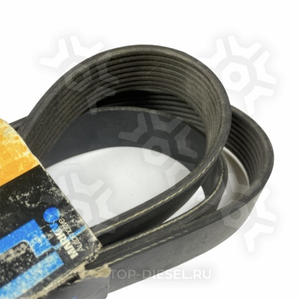 8PK2215HD Ремень поликлиновой Scania144 DSC 14/13 14/15 1996> Dayco купить рис.3