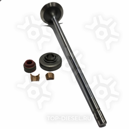 23501576 Клапан впускной Detroit Diesel без EGR Freightliner International Detroit Diesel купить рис.2