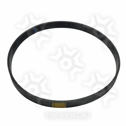 8929013 Кольцо уплотнительное гильзы верхнее Detroit Diesel 12L/12.7L/14L, Freightliner/International DD купить