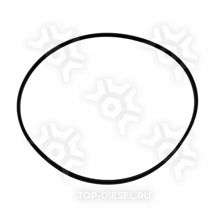3907177 Уплотнительное кольцо под гильзу цилиндра Cummins 6ISLe Cummins купить