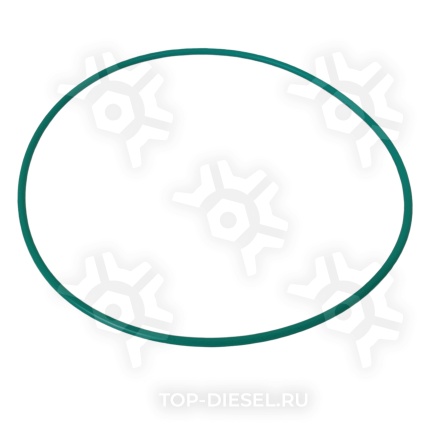 621252 Уплотнительное кольцо распредвала форсунок Cummins ISX/QSX15 Freightliner/International PAI купить рис.2