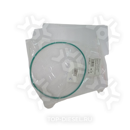 621252 Уплотнительное кольцо распредвала форсунок Cummins ISX/QSX15 Freightliner/International PAI купить