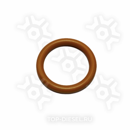 3892095 Кольцо уплотнительное водяного насоса Cummins ISM/QSM/M11, Freightliner/International Cummins купить