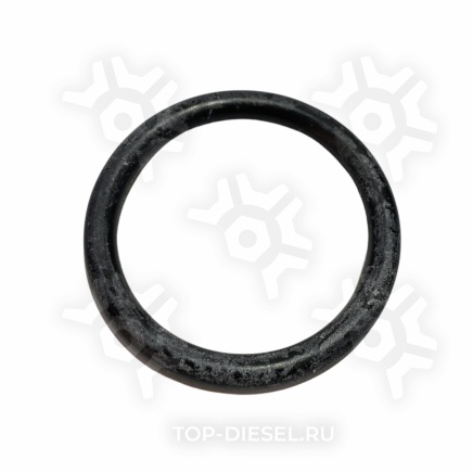 3683814 Уплотнительное кольцо охладителя EGR вход антифриза Cummins купить