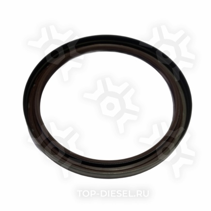 01026691B Сальник КПП 105x125x12 FPM BS LD SP MAN/DAF/Iveco Corteco купить рис.2