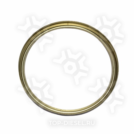 3683940 Кольцо уплотнительное выпускного коллектора Cummins ISX/QSX15, Freightliner/International/Volvo VNL Cummins купить рис.2