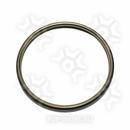 3683940 Кольцо уплотнительное выпускного коллектора Cummins ISX/QSX15, Freightliner/International/Volvo VNL Cummins купить