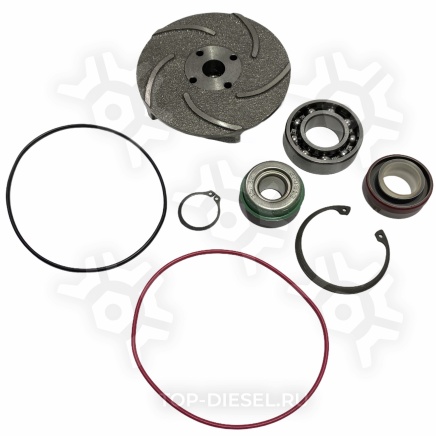 M4955802 Ремкомплект помпы крыльчатка, подшипник, стопоры, сальники Cummins M11/Freightliner/International McBEE купить рис.2