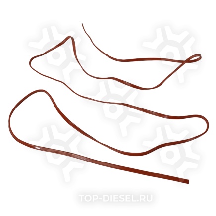 8165186SX Прокладка передней крышки корпуса шестерен верхняя Cummins ISX/QSX15 Freightliner/International Stellox купить рис.2