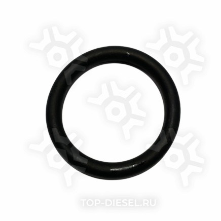 420300 Кольцо уплотнительное пальца тормозной колодки резиновое 31x4.5 MAN 14/16/19/22/26 Sitrak C7H/Howo Diesel Technic купить