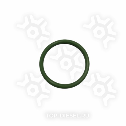 296520 Кольцо уплотнительное форсунки 24.6x29.6x2.5 MAN D2866LF23-41/2876 Elring купить
