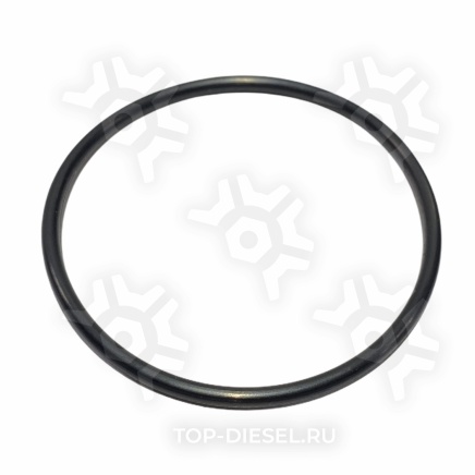 ZBP0127545 Кольцо уплотнительное редуктора DS404 Freightliner/International/Volvo VNL International купить