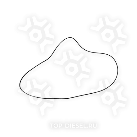 2299986 Ремкомплект двигателя полный DAF CF/XF 105 большой DAF купить рис.16