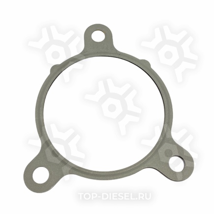 23533534 Прокладка клапана Detroit Diesel EGR, Freightliner/International DD купить