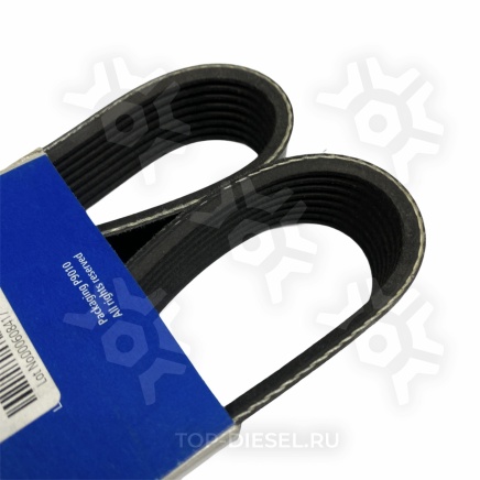221079 Ремень поликлиновой Volvo FH12/FL12 8PK955 Diesel Technic купить рис.3