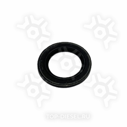 4934279 Уплотнительное кольцо турбокомпрессора Cummins ISX/QSX Freightliner/International Cummins купить
