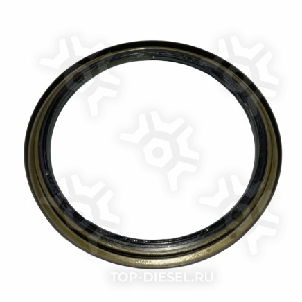 01034120B Сальник ступицы задний 145x175x8 мм БНК DC+ Mercedes Benz Actros/Axor/Atego Corteco купить рис.2